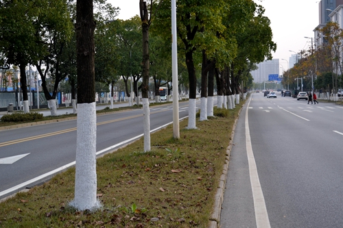 图片1_副本.jpg 图片1_副本.jpg