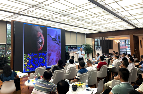 网站2.png 网站2.png