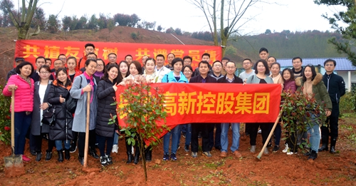 长高控股志愿者义务植树 为星城添新绿