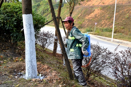 
                                                园区万余株树木刷白穿“冬装”