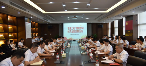 
												麓谷建工党总支开展“学史力行”党史 学习教育主题党日活动