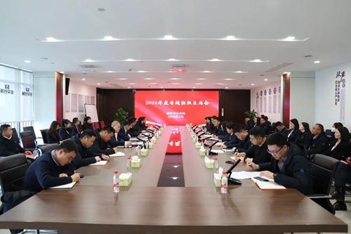 
												组织生活严纪律 同心同德开新局 麓谷实业系统召开2024年度组织生活会